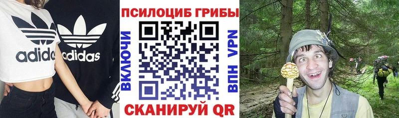 Галлюциногенные грибы GOLDEN TEACHER Чудово